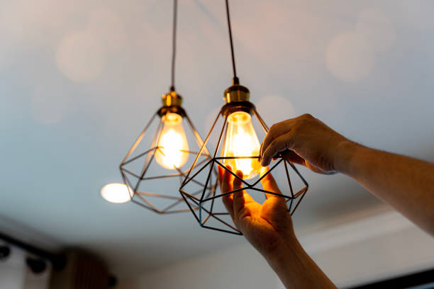 Best Electric Panel Repair  in Mayville, WI